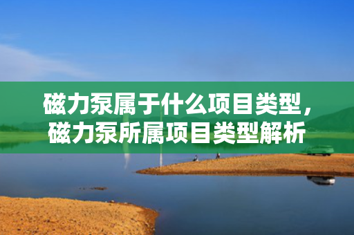 磁力泵属于什么项目类型，磁力泵所属项目类型解析