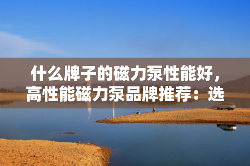 什么牌子的磁力泵性能好，高性能磁力泵品牌推荐：选购指南与专家评价