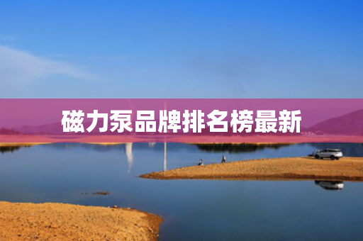 磁力泵品牌排名榜最新
