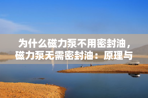 为什么磁力泵不用密封油，磁力泵无需密封油：原理与优势解析