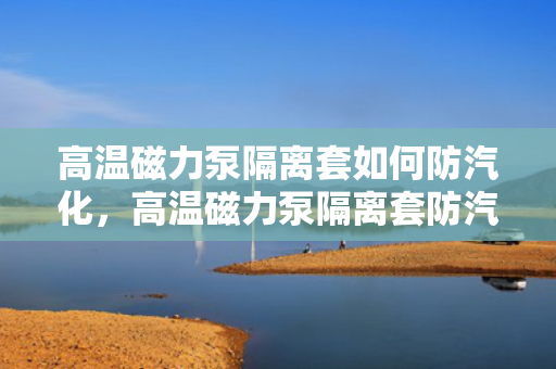 高温磁力泵隔离套如何防汽化，高温磁力泵隔离套防汽化技术解析