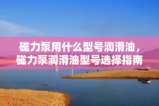 磁力泵用什么型号润滑油，磁力泵润滑油型号选择指南