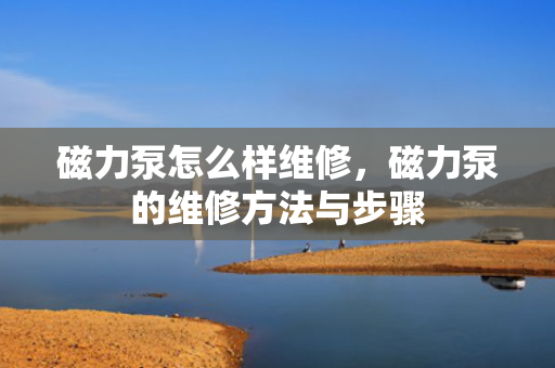 磁力泵怎么样维修，磁力泵的维修方法与步骤