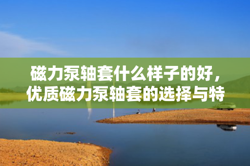 磁力泵轴套什么样子的好，优质磁力泵轴套的选择与特点解析