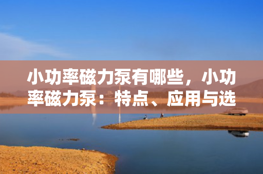 小功率磁力泵有哪些，小功率磁力泵：特点、应用与选型指南