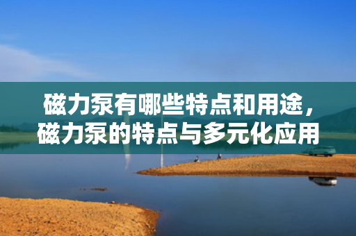 磁力泵有哪些特点和用途，磁力泵的特点与多元化应用