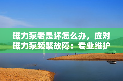 磁力泵老是坏怎么办，应对磁力泵频繁故障：专业维护与操作指南