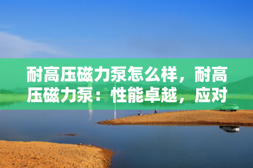 耐高压磁力泵怎么样，耐高压磁力泵：性能卓越，应对高压环境的理想选择
