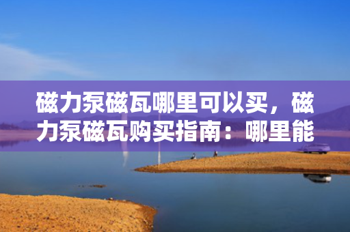 磁力泵磁瓦哪里可以买，磁力泵磁瓦购买指南：哪里能找到高品质的产品？