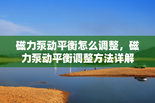 磁力泵动平衡怎么调整，磁力泵动平衡调整方法详解