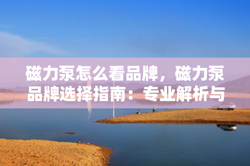 磁力泵怎么看品牌，磁力泵品牌选择指南：专业解析与推荐