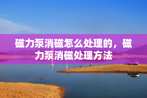 磁力泵消磁怎么处理的，磁力泵消磁处理方法
