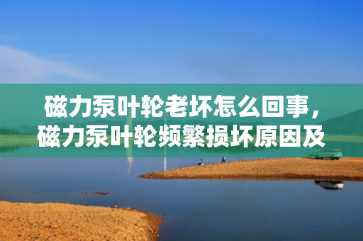 磁力泵叶轮老坏怎么回事，磁力泵叶轮频繁损坏原因及解决方案探讨