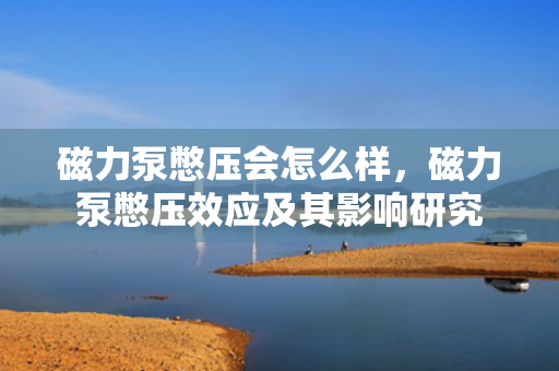 磁力泵憋压会怎么样，磁力泵憋压效应及其影响研究
