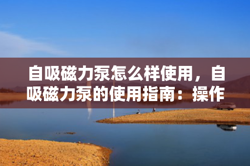 自吸磁力泵怎么样使用，自吸磁力泵的使用指南：操作步骤与注意事项