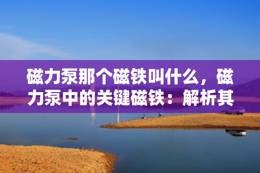 磁力泵那个磁铁叫什么，磁力泵中的关键磁铁：解析其名称与作用