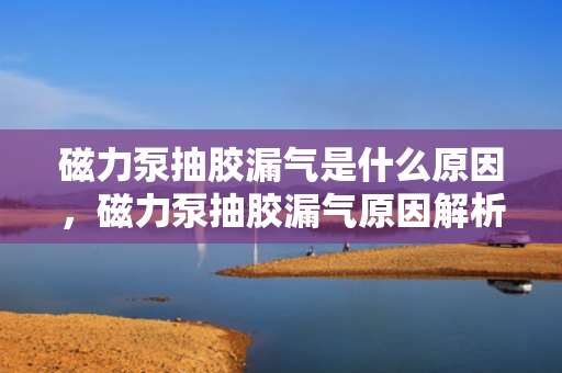 磁力泵抽胶漏气是什么原因，磁力泵抽胶漏气原因解析