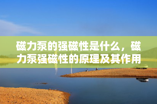 磁力泵的强磁性是什么，磁力泵强磁性的原理及其作用解析