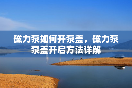 磁力泵如何开泵盖，磁力泵泵盖开启方法详解