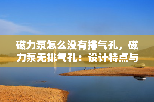 磁力泵怎么没有排气孔，磁力泵无排气孔：设计特点与工作原理解析