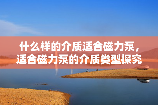 什么样的介质适合磁力泵，适合磁力泵的介质类型探究