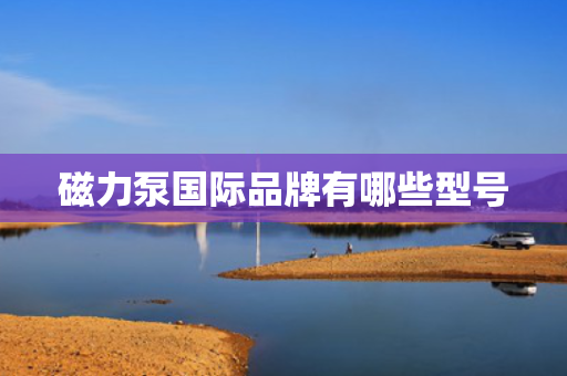 磁力泵国际品牌有哪些型号