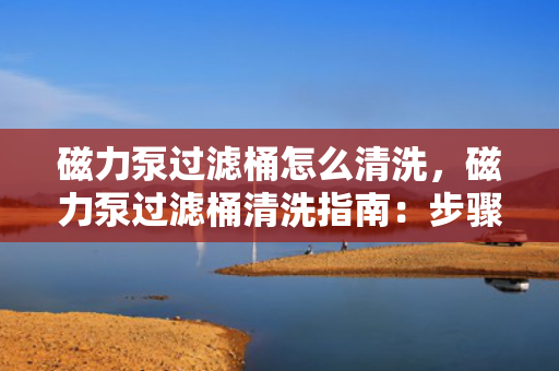 磁力泵过滤桶怎么清洗，磁力泵过滤桶清洗指南：步骤详解与注意事项