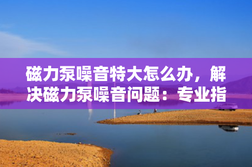 磁力泵噪音特大怎么办，解决磁力泵噪音问题：专业指导与实用技巧