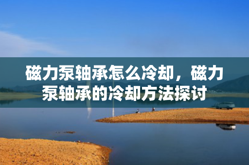 磁力泵轴承怎么冷却，磁力泵轴承的冷却方法探讨