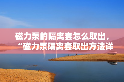 磁力泵的隔离套怎么取出，“磁力泵隔离套取出方法详解”