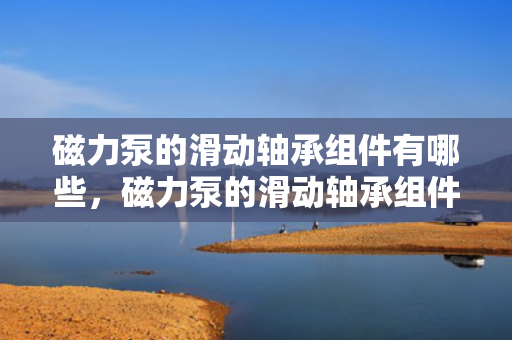 磁力泵的滑动轴承组件有哪些，磁力泵的滑动轴承组件介绍