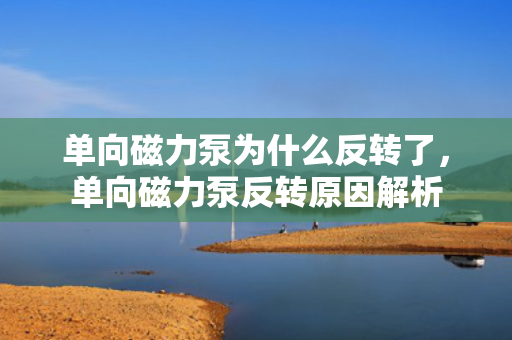 单向磁力泵为什么反转了，单向磁力泵反转原因解析
