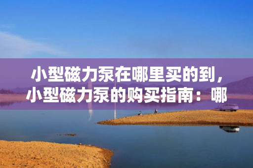 小型磁力泵在哪里买的到，小型磁力泵的购买指南：哪里能找到理想的购买地点