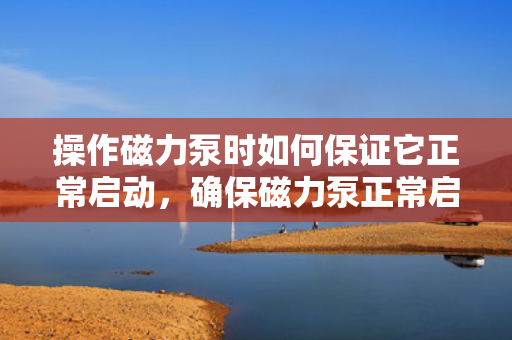 操作磁力泵时如何保证它正常启动，确保磁力泵正常启动的操作指南