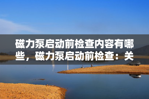 磁力泵启动前检查内容有哪些，磁力泵启动前检查：关键步骤与要点解析