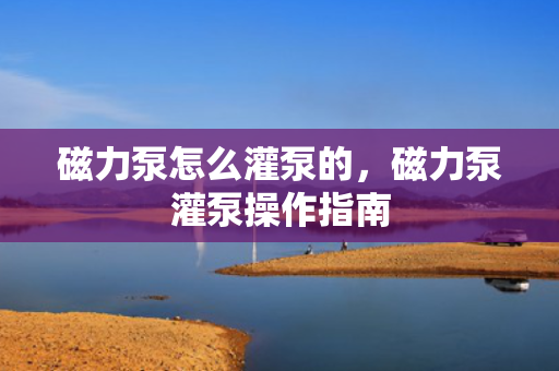 磁力泵怎么灌泵的，磁力泵灌泵操作指南