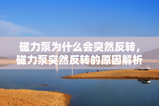 磁力泵为什么会突然反转，磁力泵突然反转的原因解析