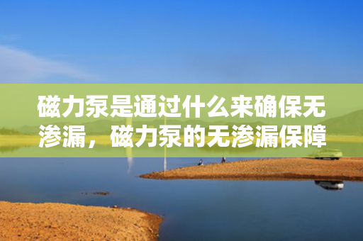 磁力泵是通过什么来确保无渗漏，磁力泵的无渗漏保障：关键技术与工作原理探析