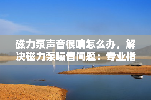 磁力泵声音很响怎么办，解决磁力泵噪音问题：专业指导帮助您快速定位并降低响声