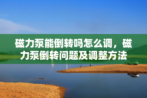 磁力泵能倒转吗怎么调，磁力泵倒转问题及调整方法