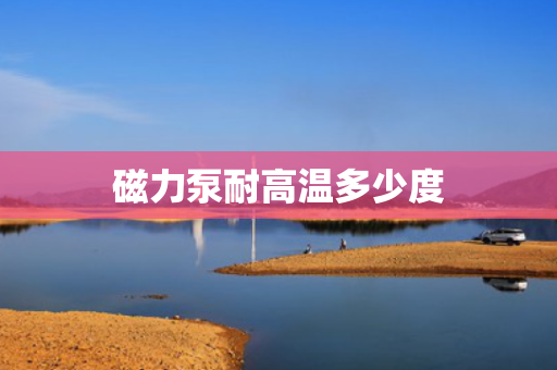 磁力泵耐高温多少度
