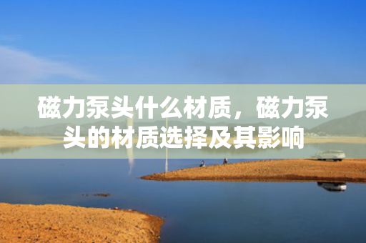 磁力泵头什么材质，磁力泵头的材质选择及其影响