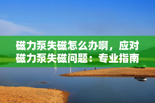 磁力泵失磁怎么办啊，应对磁力泵失磁问题：专业指南与解决方案