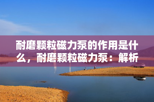 耐磨颗粒磁力泵的作用是什么，耐磨颗粒磁力泵：解析其作用与重要性