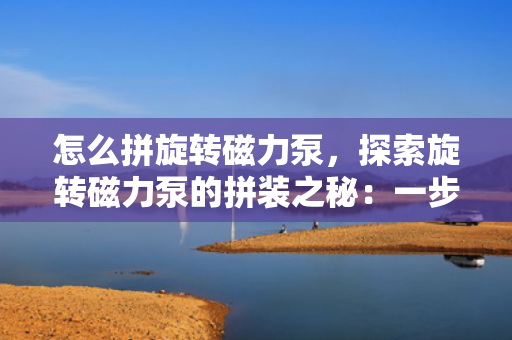怎么拼旋转磁力泵，探索旋转磁力泵的拼装之秘：一步步打造高效流体传输利器