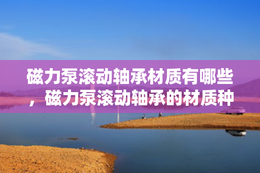 磁力泵滚动轴承材质有哪些，磁力泵滚动轴承的材质种类解析