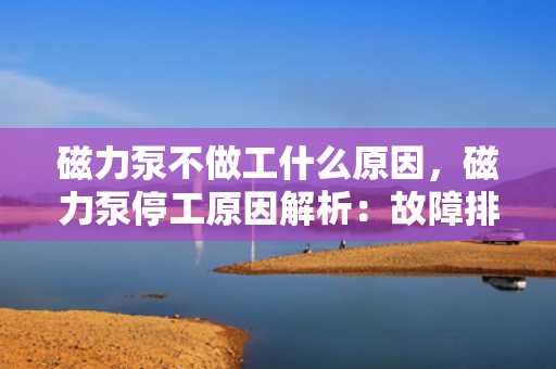 磁力泵不做工什么原因，磁力泵停工原因解析：故障排查与解决方案