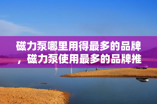 磁力泵哪里用得最多的品牌，磁力泵使用最多的品牌推荐