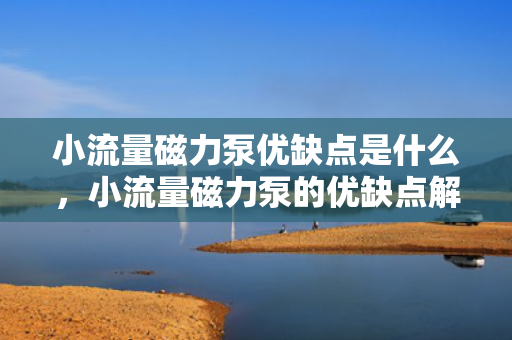 小流量磁力泵优缺点是什么，小流量磁力泵的优缺点解析