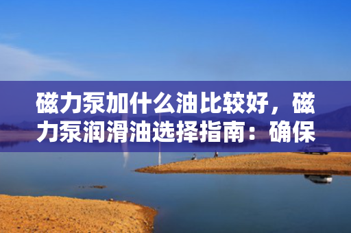 磁力泵加什么油比较好，磁力泵润滑油选择指南：确保高效运转与长久耐用的关键